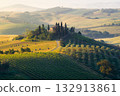 Tuscan farmers cultivate vineyards and fields around a classic farmhouse with cypress trees 132913861