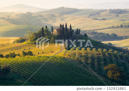 Tuscan farmers cultivate vineyards and fields around a classic farmhouse with cypress trees Tuscan farmers cultivate vineyards and fields around a classic farmhouse with cypress trees 132913861
