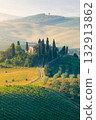 The Tuscan Landscape 132913862