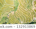 Terraced rice paddies cultivated by farmers for sustainable food production, aerial view 132913869