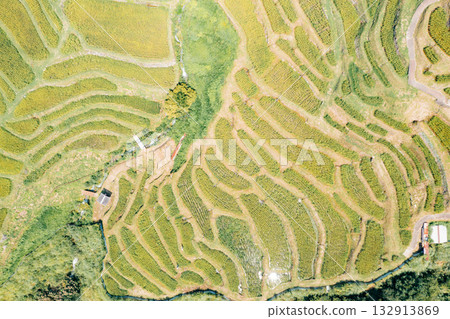 Terraced rice paddies cultivated by farmers for sustainable food production, aerial view Terraced rice paddies cultivated by farmers for sustainable food production, aerial view 132913869
