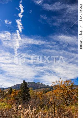 Autumn foliage view from around the large maple tree, Norikura Plateau 132913903