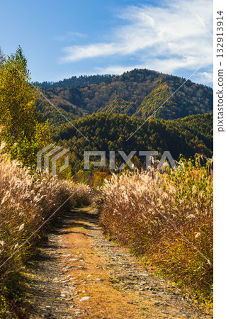 Autumn walking trails in Norikura Highlands Autumn walking trails in Norikura Highlands 132913914