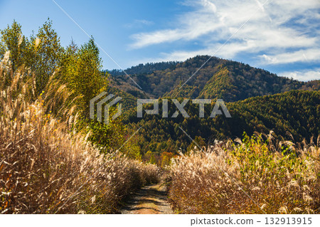 Autumn walking trails in Norikura Highlands Autumn walking trails in Norikura Highlands 132913915