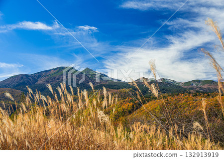 日本銀草和乘鞍山 132913919