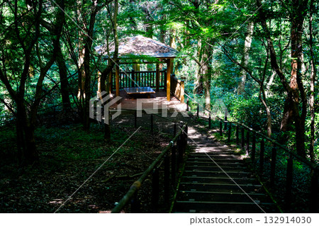 Mountain road rest area Mountain road rest area 132914030