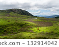 阿蘇的綠色山丘上綿延著廣闊的牧場景觀 132914042