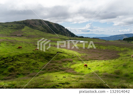 阿蘇的綠色山丘上綿延著廣闊的牧場景觀 阿蘇的綠色山丘上綿延著廣闊的牧場景觀 132914042