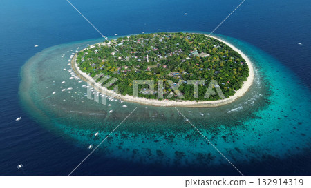 Tropical island with turquoise water and coral reef 132914319