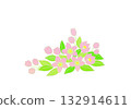Christmas rose pink 132914611
