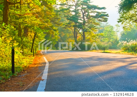 晨光透過通往貘本台和五色沼澤的道路灑下。 132914628