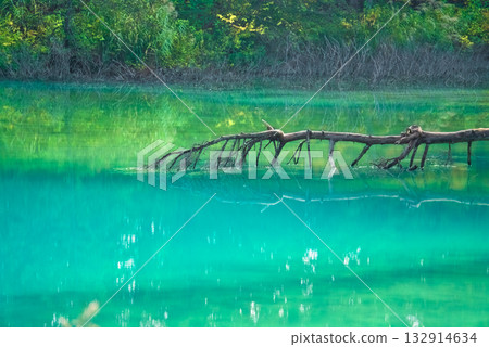 The mysterious emerald blue of Lake Goshikinuma and Lake Aonuma 132914634
