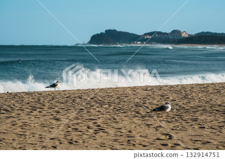 Seagulls and Surf at Naksan Beach, South Korea 132914751