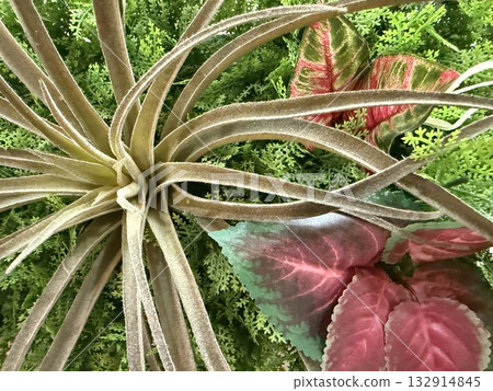 Artificial flowers inspired by colorful tropical plants in a tropical jungle Artificial flowers inspired by colorful tropical plants in a tropical jungle 132914845