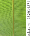 Tropical green leaf texture natural background 132914874