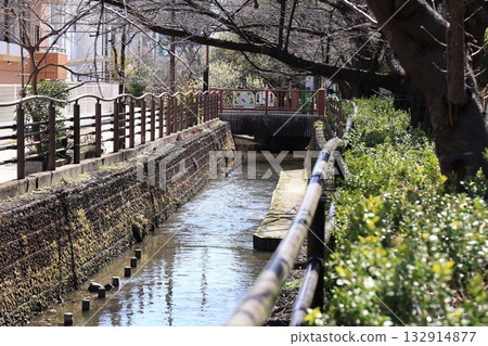 Landscape with river 132914877