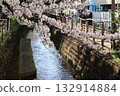 Landscape with cherry blossoms and river 132914884