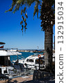 Scenic Waterfront View with Boats Moored Under a Clear Blue Sky, Surrounded by Palm Trees and Serene Marina Atmosphere 132915034