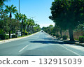 A Clear and Serene Urban Roadway Lined with Lush Palm Trees and Vibrant Greenery Under a Bright Blue Sky 132915039
