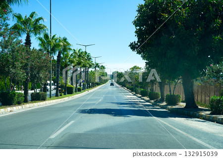 A Clear and Serene Urban Roadway Lined with Lush Palm Trees and Vibrant Greenery Under a Bright Blue Sky 132915039
