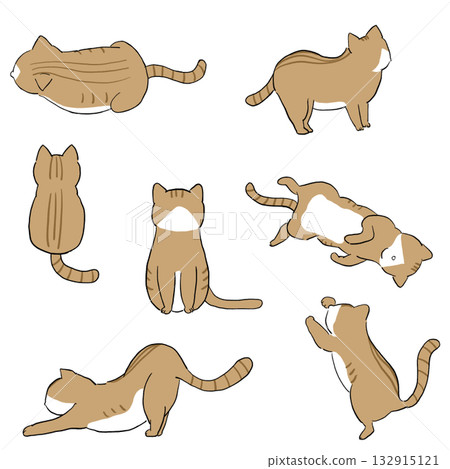 Set of cat illustrations in various poses Set of cat illustrations in various poses 132915121
