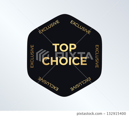 Premium Exclusive Top Choice Badge In Black And Gold. Luxury Quality Label For Branding, Packaging, Ecommerce, And Sale Promotions On Light Gradient Background. Vector Hexagon Logo Premium Exclusive Top Choice Badge In Black And Gold. Luxury Quality Label For Branding, Packaging, Ecommerce, And Sale Promotions On Light Gradient Background. Vector Hexagon Logo 132915400