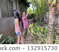 An elderly Asian woman and her daughter harvest coconuts from a palm tree 132915730
