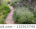 A narrow, winding dirt path among windweed and grass. 132915748