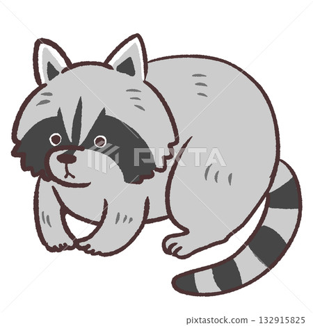 可愛的浣熊插圖 132915825