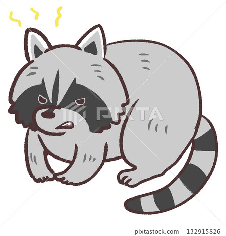 一隻惱怒的浣熊的插圖 一隻惱怒的浣熊的插圖 132915826
