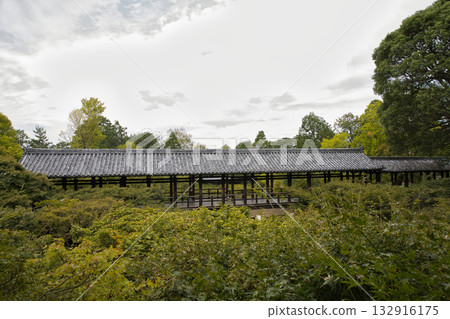 Tofukuji Temple - Tsutenkyo Bridge floating among the green maples as seen from the abbot's chamber 1 Tofukuji Temple - Tsutenkyo Bridge floating among the green maples as seen from the abbot's chamber 1 132916175