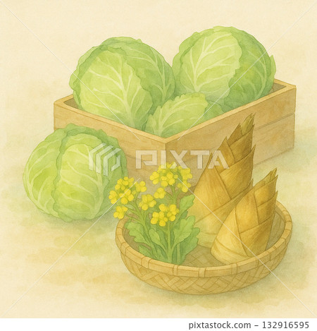 Spring vegetable series: Market-style illustration of spring vegetables stacked in wooden boxes 132916595