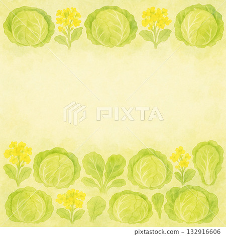 Spring vegetable series: rape blossoms and cabbage strip frame background Spring vegetable series: rape blossoms and cabbage strip frame background 132916606