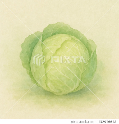 春季蔬菜系列：春季高麗菜葉片翻轉的特寫插圖 132916618