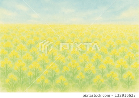 春季蔬菜系列：日式油菜花田插畫背景 132916622