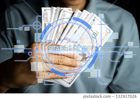 The concept of using stablecoins in the financial system The concept of using stablecoins in the financial system 132917026