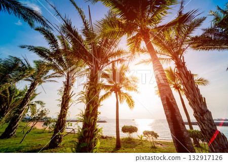 Beautiful tropical beach with palm trees. Daylight background. 132917126