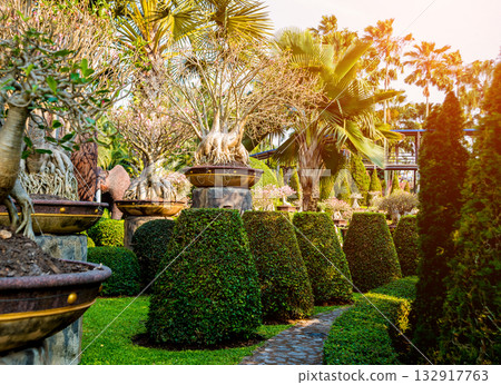 Luxury landscape design of the tropical garden.  132917763