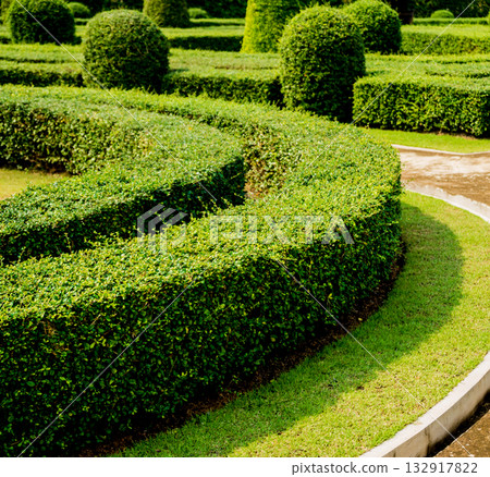 Luxury landscape design of the tropical garden. Luxury landscape design of the tropical garden. 132917822