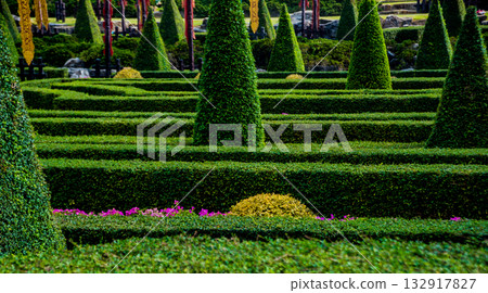Luxury landscape design of the tropical garden. Luxury landscape design of the tropical garden. 132917827