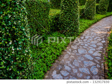 Luxury landscape design of the tropical garden. Luxury landscape design of the tropical garden. 132917830