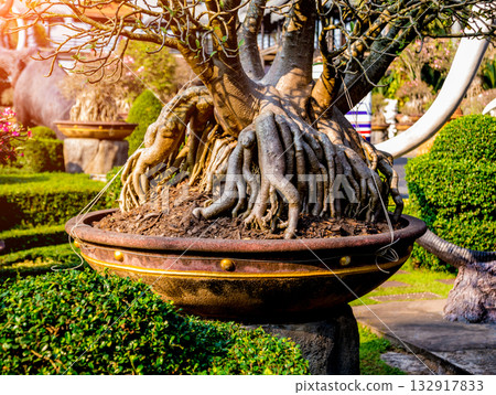 Luxury landscape design of the tropical garden. Luxury landscape design of the tropical garden. 132917833