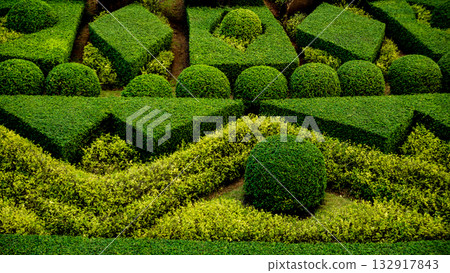 Luxury landscape design of the tropical garden. Luxury landscape design of the tropical garden. 132917843