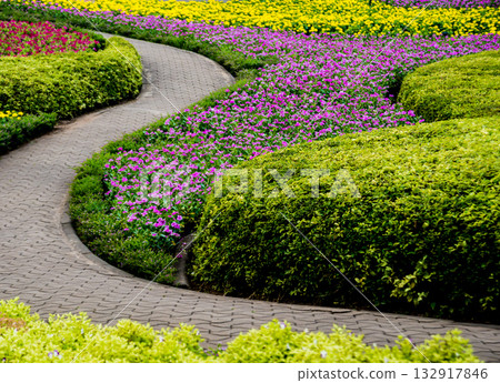Luxury landscape design of the tropical garden.  132917846