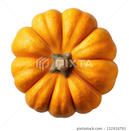 Orange Pumpkin Top View 132918791