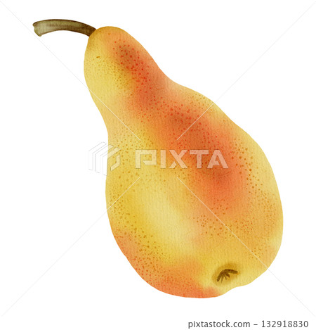 Watercolor illustration of a single ripe, speckled yellow brown pear. Excellent for food packaging, labels, market posters, textile, and harvest themed design Watercolor illustration of a single ripe, speckled yellow brown pear. Excellent for food packaging, labels, market posters, textile, and harvest themed design 132918830
