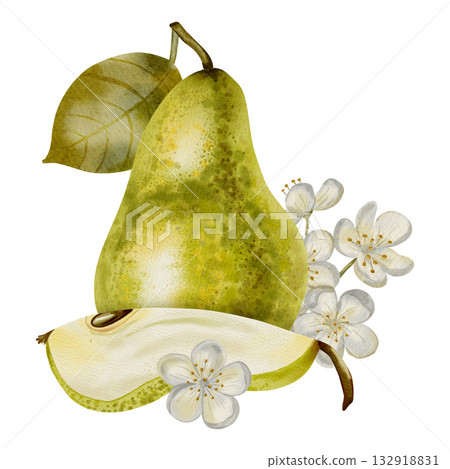 Hand painted watercolor composition featuring green pears adorned with white flowers and leaves. Perfect for elegant packaging, textiles, cards, and labels. Hand painted watercolor composition featuring green pears adorned with white flowers and leaves. Perfect for elegant packaging, textiles, cards, and labels. 132918831