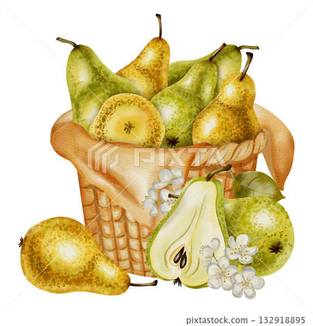 Hand painted watercolor illustration of a woven basket filled with various whole and sliced green and yellow pears. Perfect for harvest festival design, packaging, and rustic decor Hand painted watercolor illustration of a woven basket filled with various whole and sliced green and yellow pears. Perfect for harvest festival design, packaging, and rustic decor 132918895