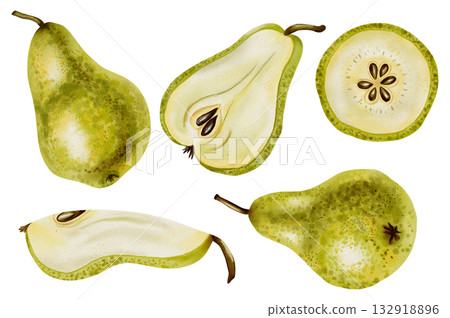 Watercolor illustration of ripe pears, whole and sliced. Watercolor fruits. Ideal for use in food packaging, cookbook covers, and marketing advertising. 132918896