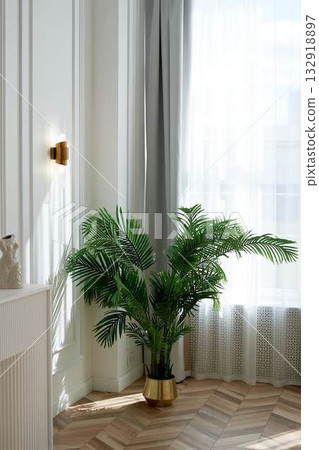 A palm tree in a golden planter in a bright and spacious room. Style, luxury and minimalism, A palm tree in a golden planter in a bright and spacious room. Style, luxury and minimalism, 132918897